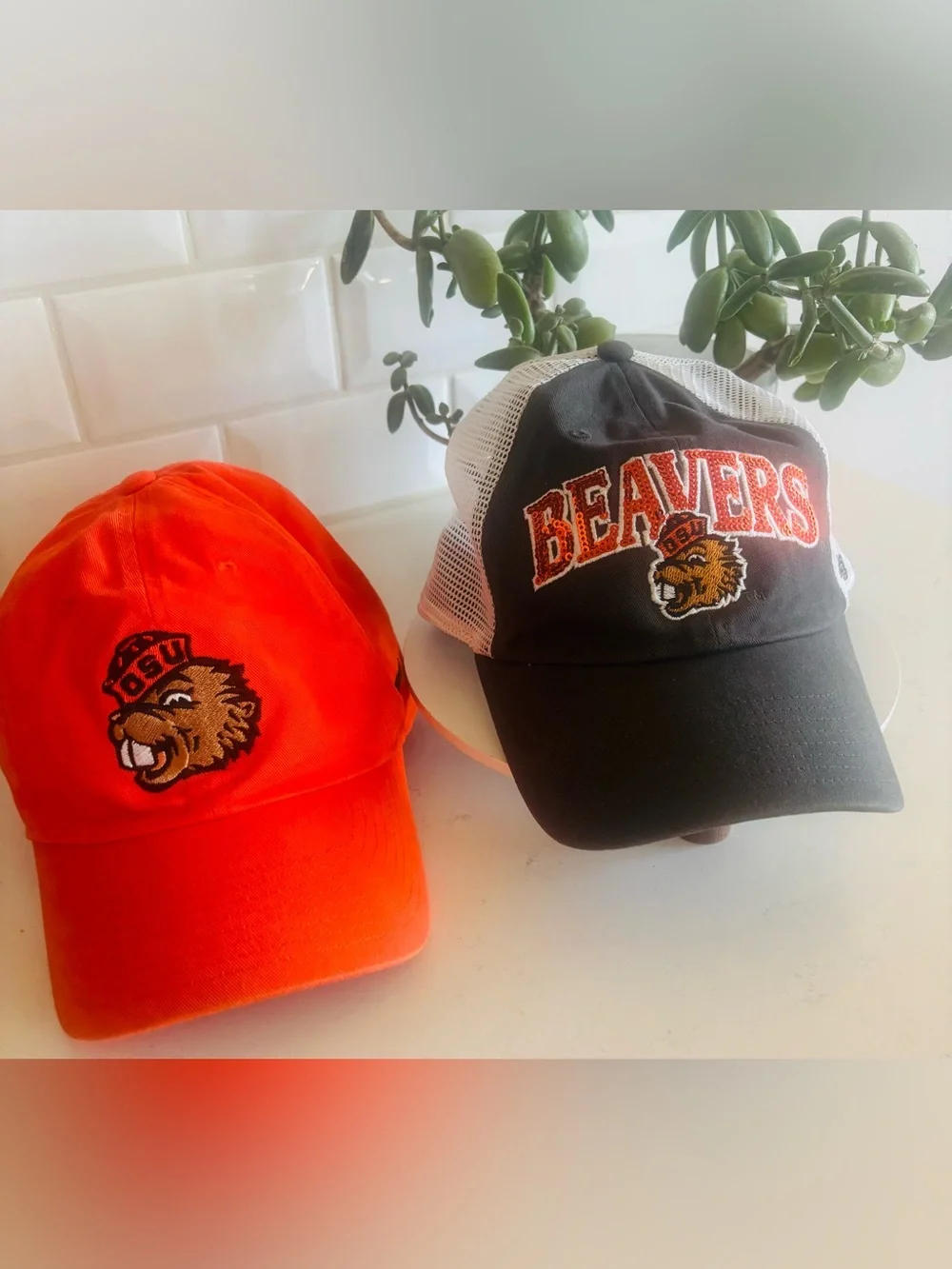 Set of 2 adjustable Oregon State University hats🧡🖤🦫